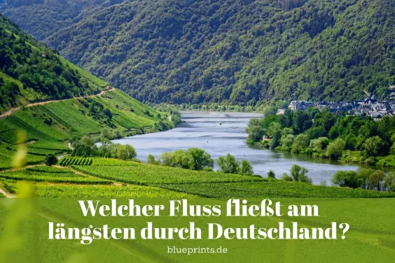 Fluss fließt durch Weinberge