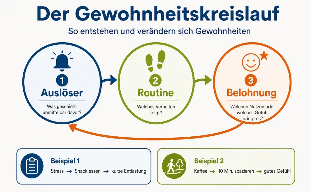 gewohnheitskreislauf 1000