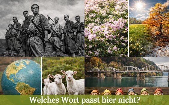 Collage aus den Begriffen des Rätsels