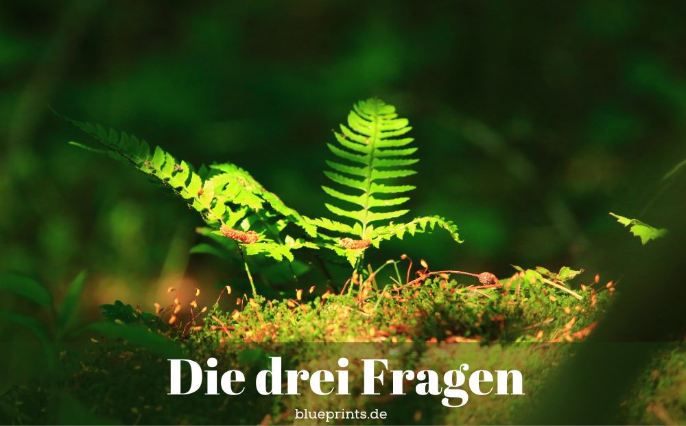 Ein leuchtender Farn im Wald
