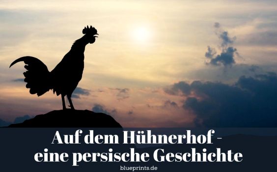 Ein krähender Hahn bei Sonnenaufgang