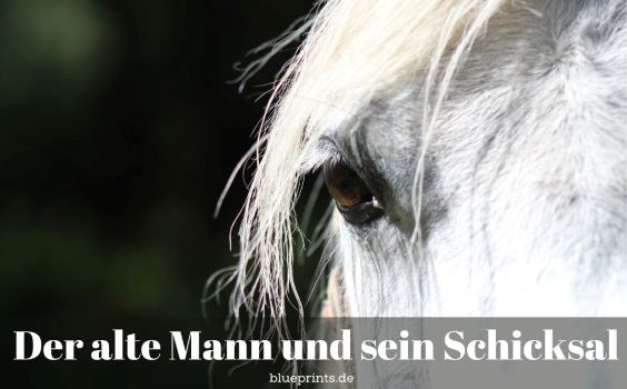 Ein weißer Hengst