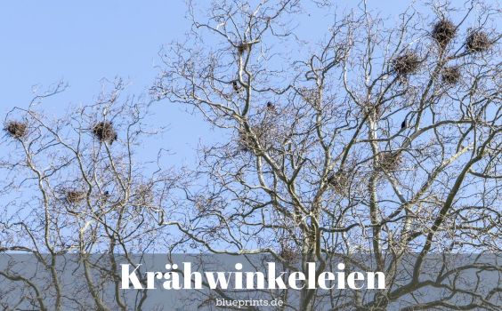 Krähennester