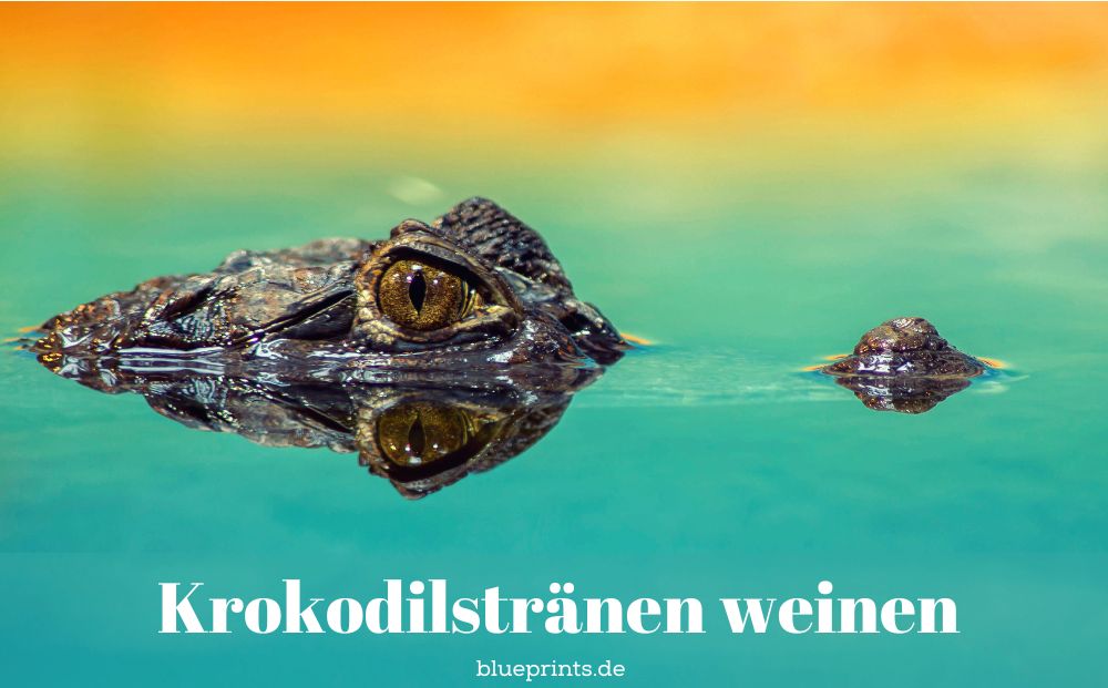 Ein Krokodil lauert