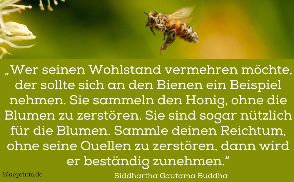 Eine sammelnde Biene