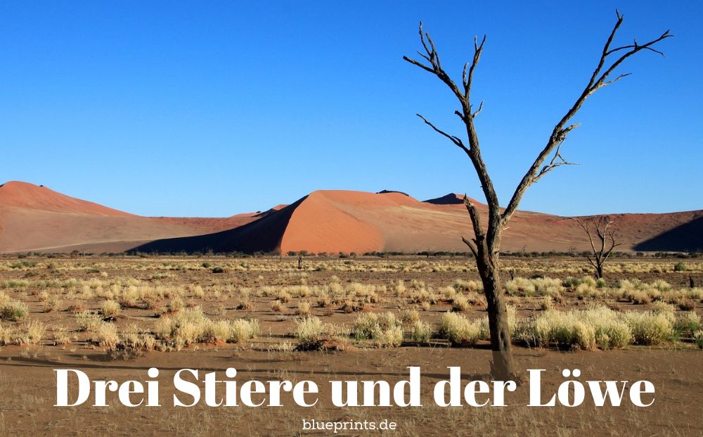 Irgendwo in der Wüste