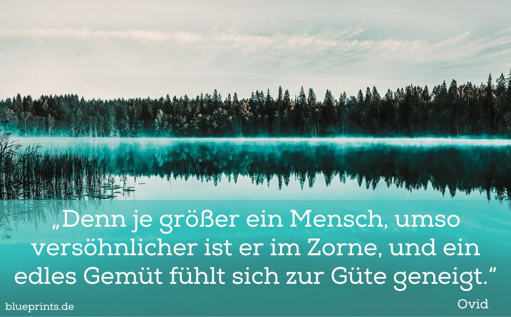 Ein See mit Bäumen im Hintergrund