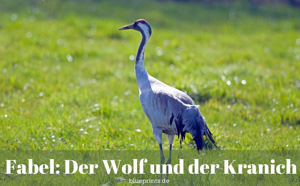 Ein Kranich