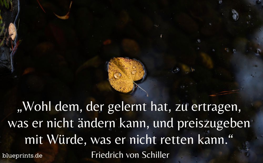 Ein Blatt treibt im Wasser.