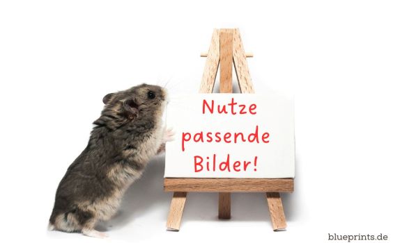 passende bilder 564